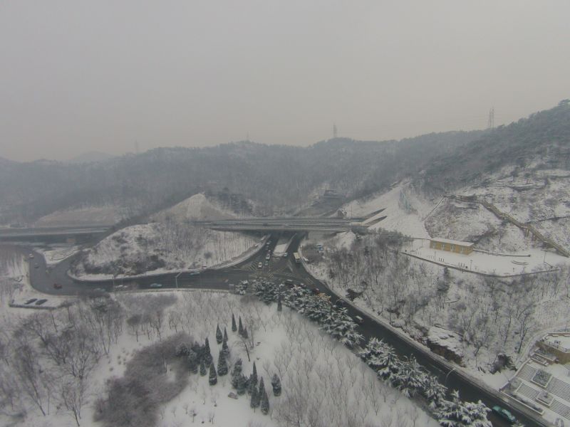 大连下雪的时候风不大图片 58737 800x600