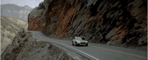 img_9650.gif