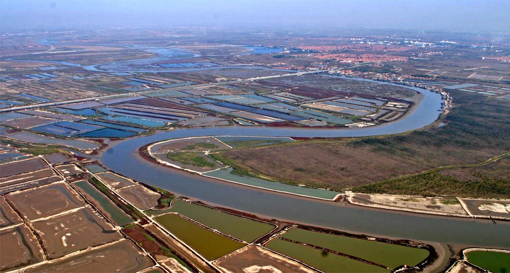 这块湿地是青岛的母亲河--大沽河淤积而成的滨海湿地,也是地球之肺