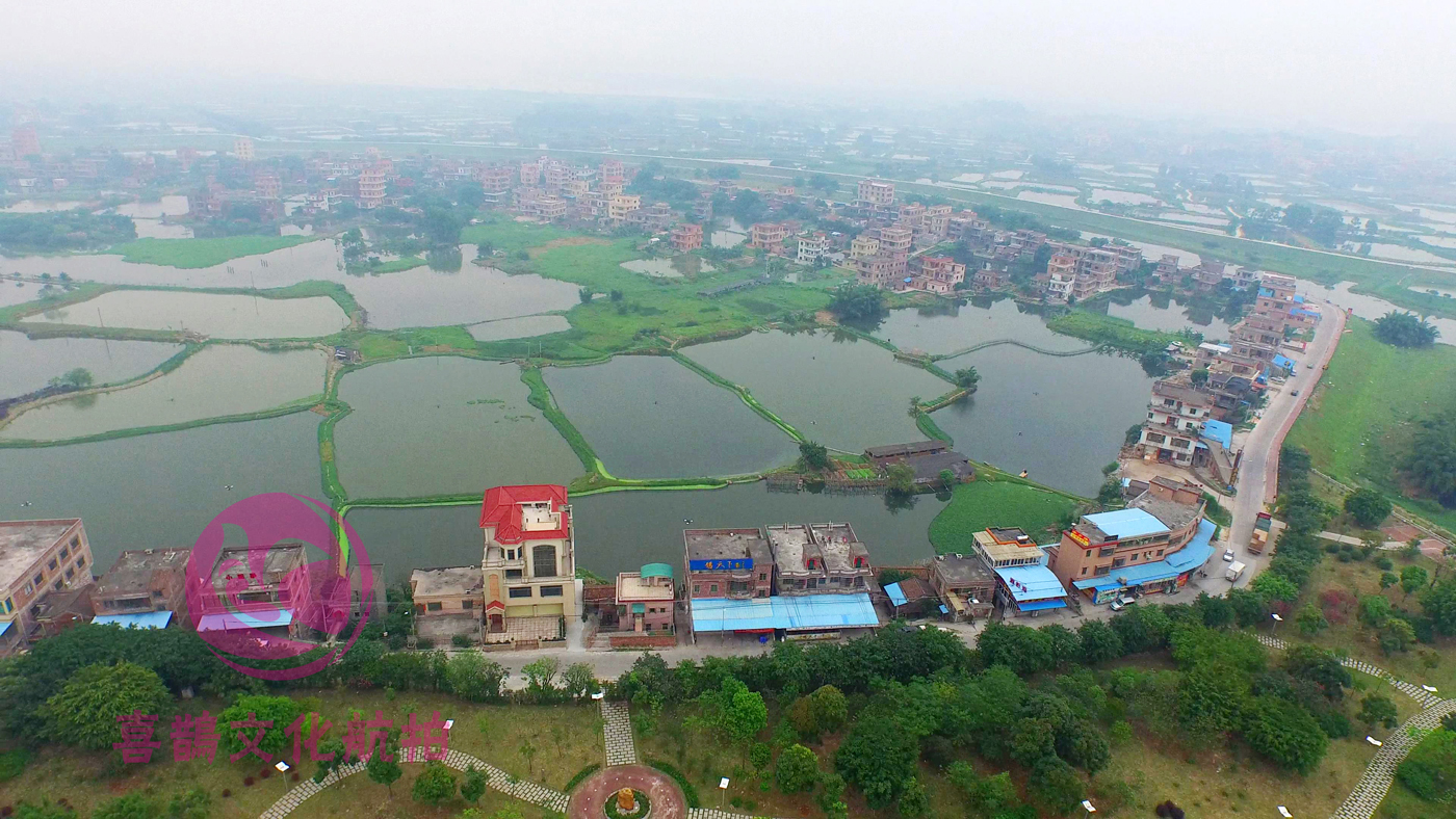 【最美身边风景】航拍-----古劳水乡