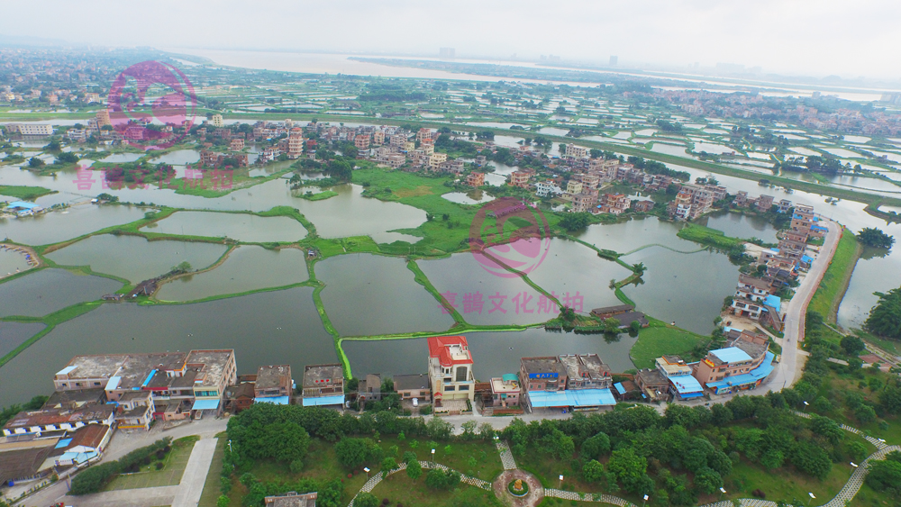 【最美身边风景】航拍-----古劳水乡