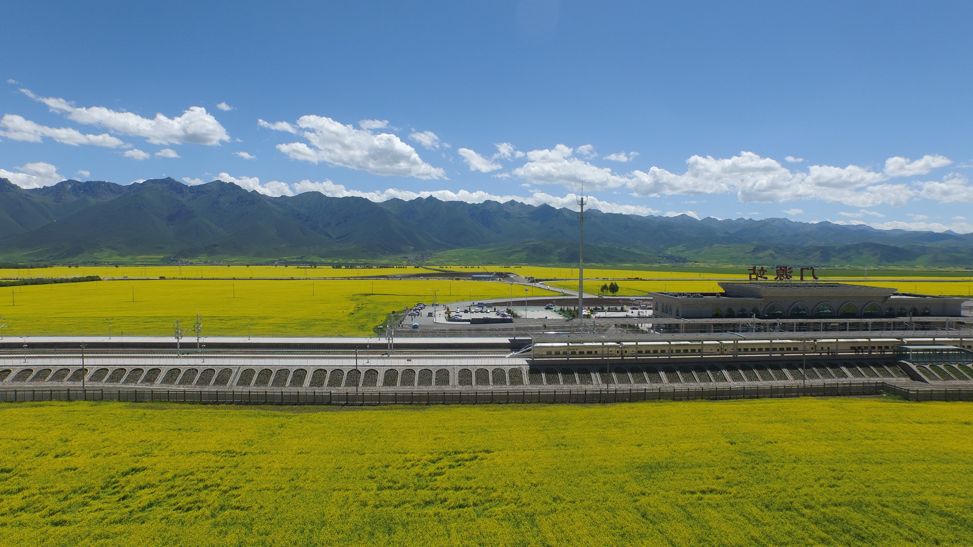 门源拍火车(高铁)