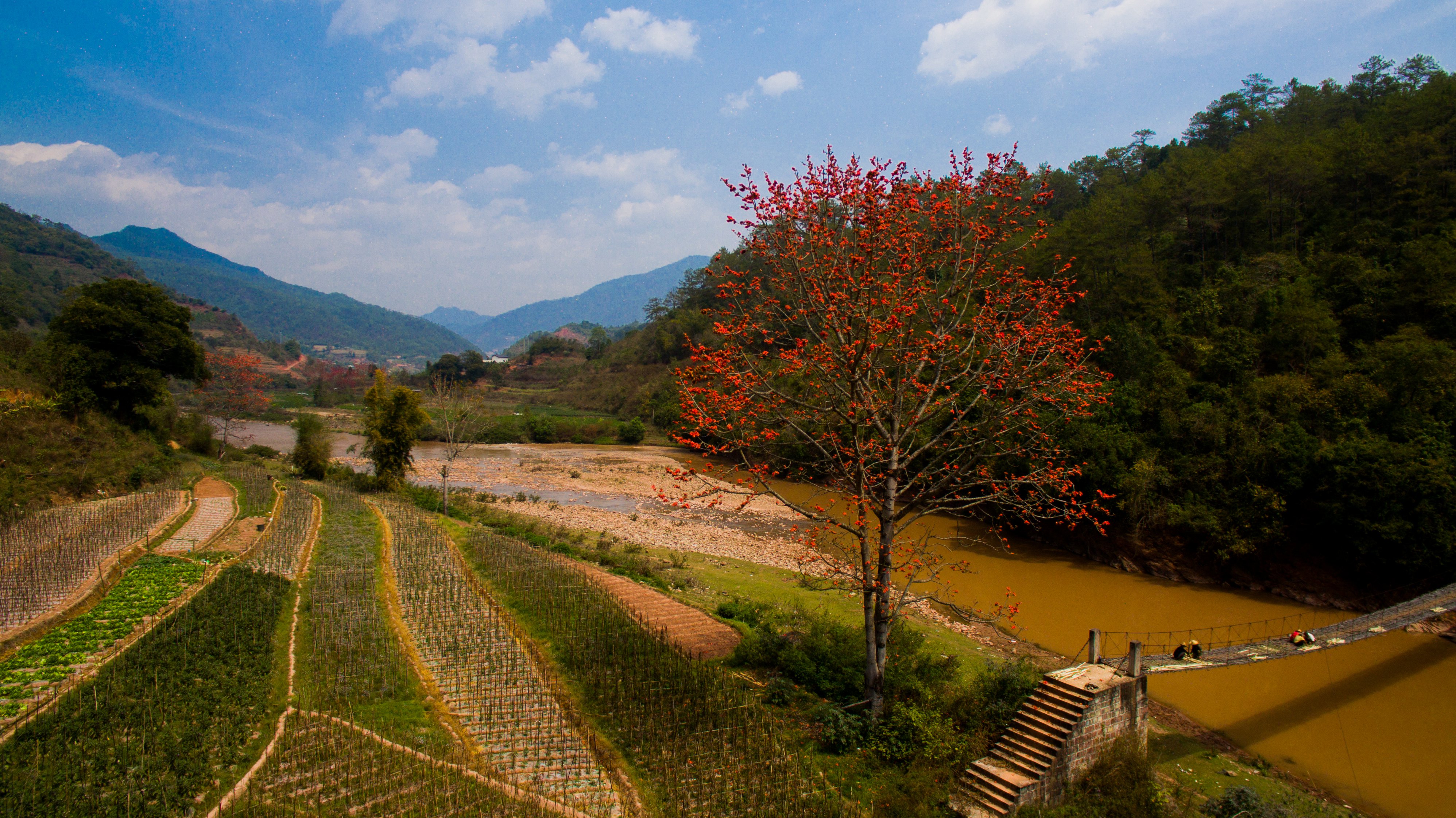 【撩春风】早春