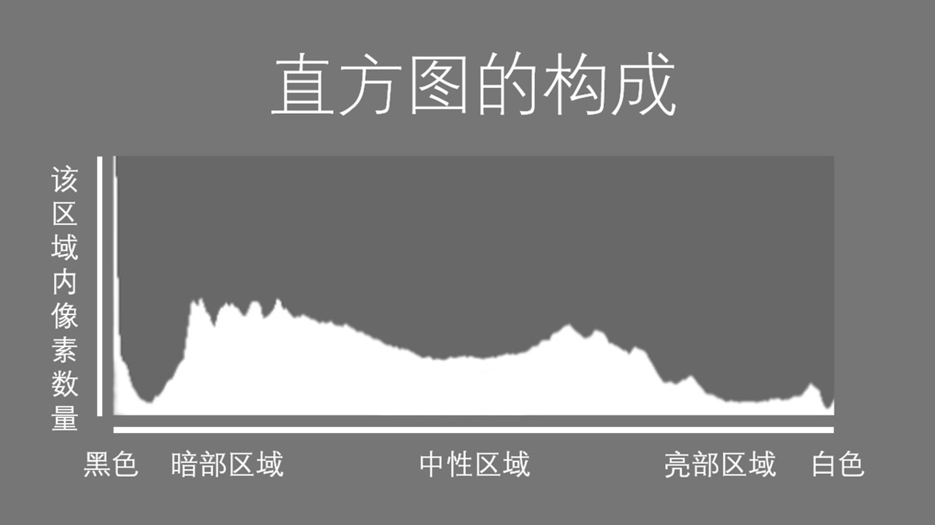 上回有一条留言火了   有人问曝光的正确姿势,比如直方图怎么看